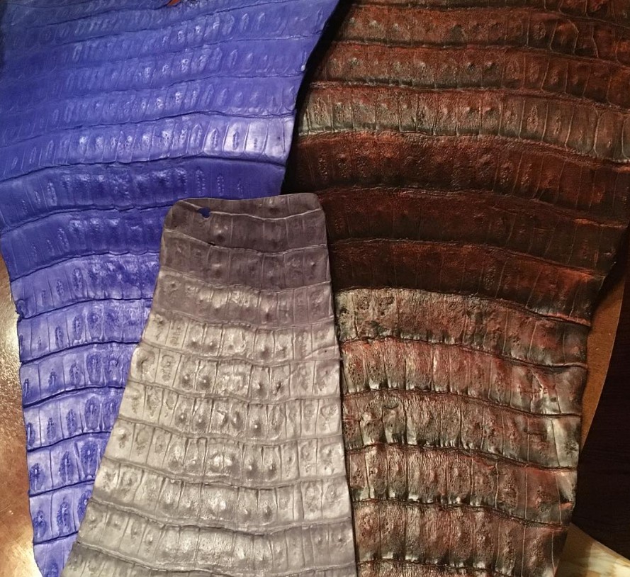 Caiman leather piece
