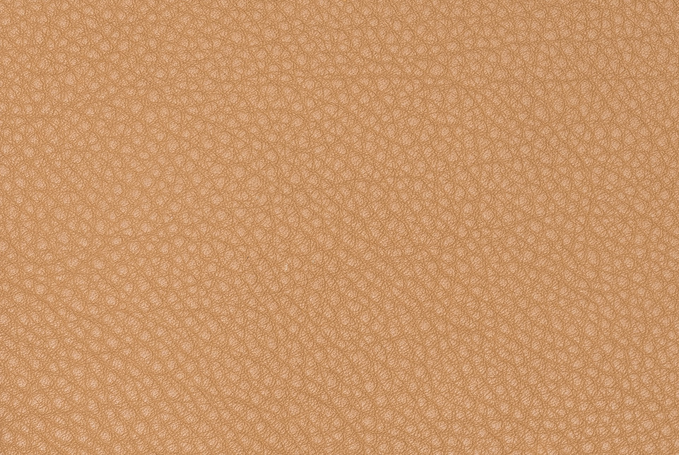 Camel leather piece