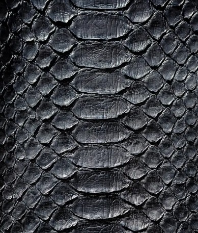 Python leather piece