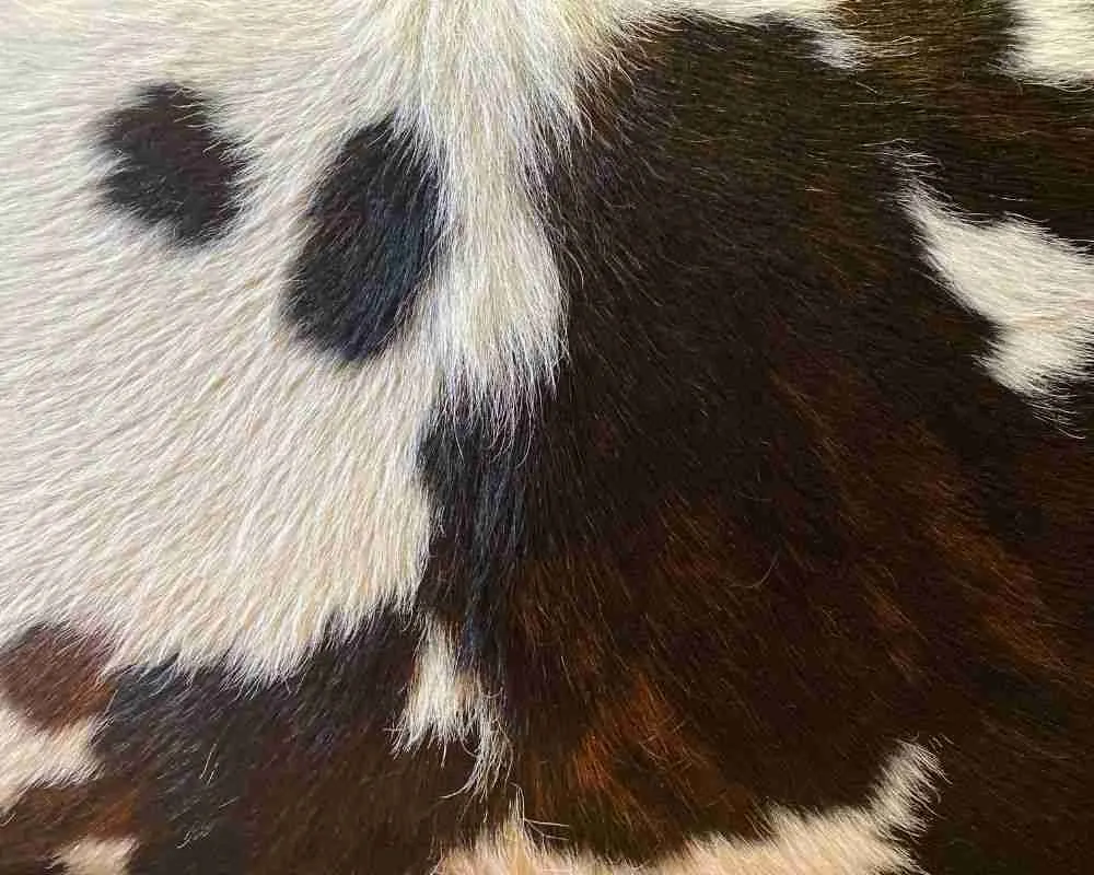 Hair-on hide leather
