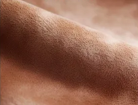 Suede leather texture